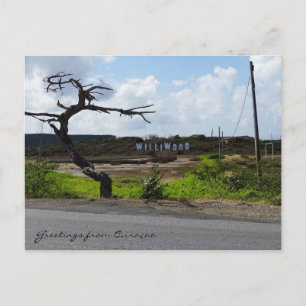 Greetings from Curaçao (customisable) Postcard