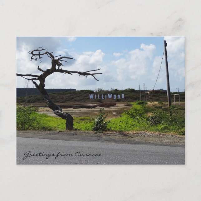 Greetings from Curaçao (customisable) Postcard (Front)