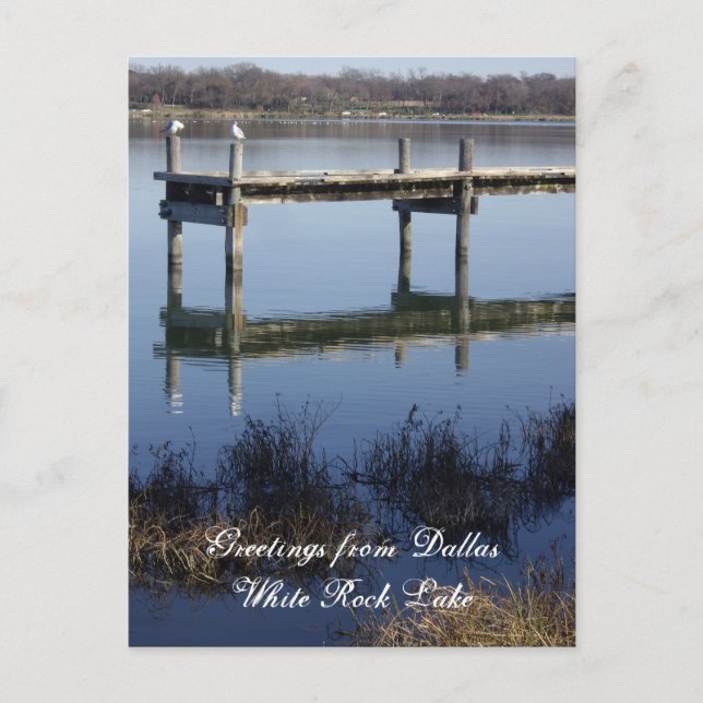 Greetings from Dallas Postcard (Front)