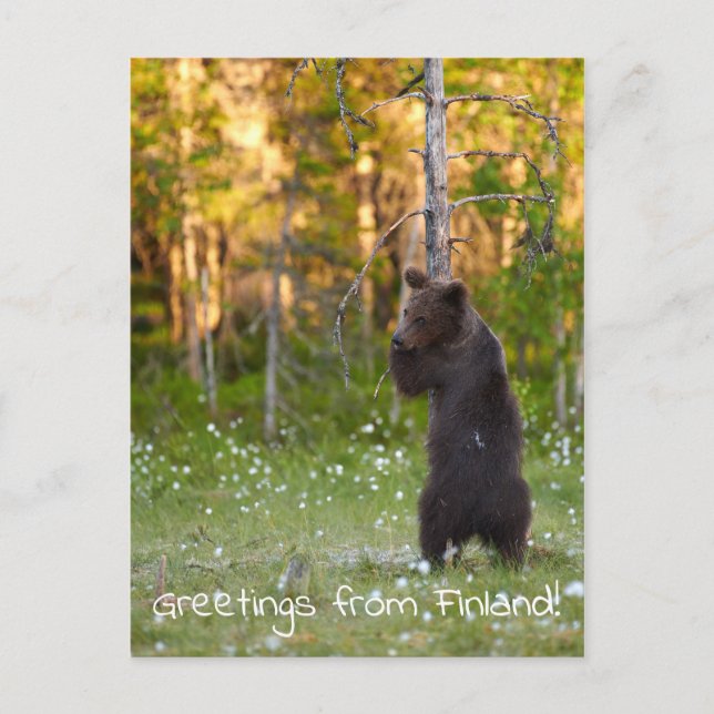 Greetings from Finland postcard (Front)