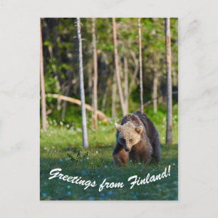 Greetings from Finland postcard