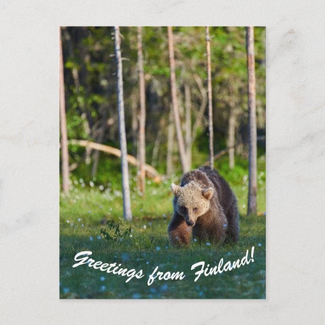 Greetings from Finland postcard (Front)