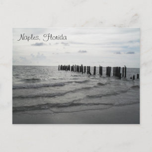 Greetings from Florida greeting card postcard