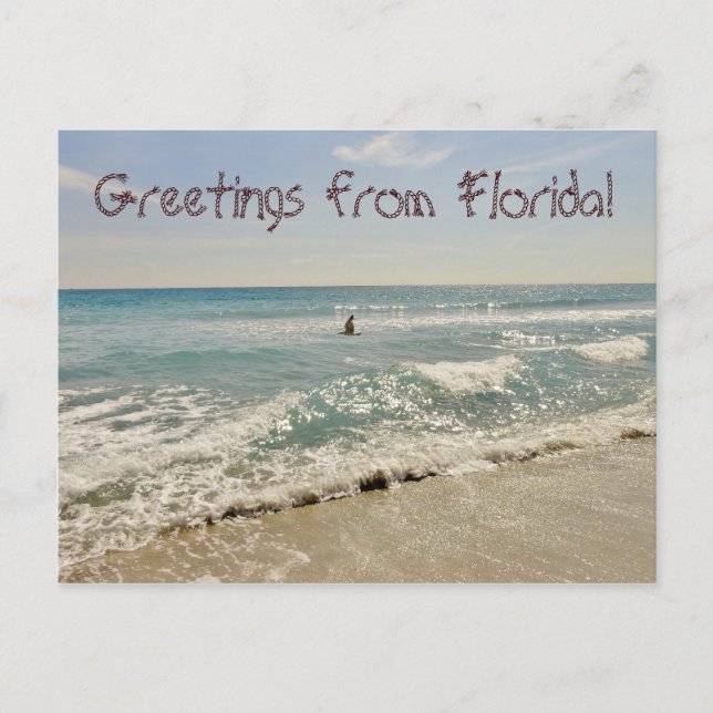 Greetings from Florida Miami Postcard (Front)
