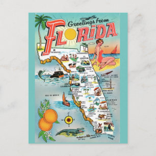 Greetings From Florida Postcard