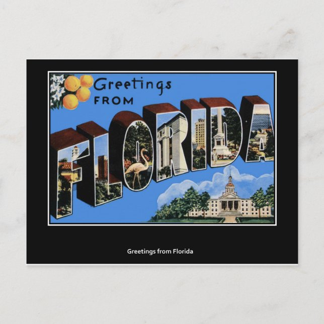 Greetings from Florida Postcard (Front)