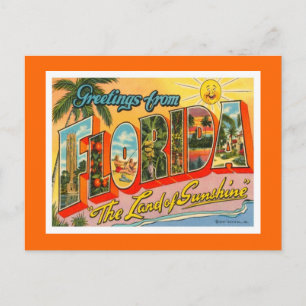 Greetings From Florida Postcard