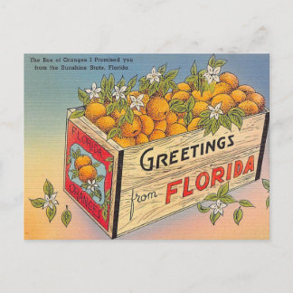 Greetings from Florida! Postcard