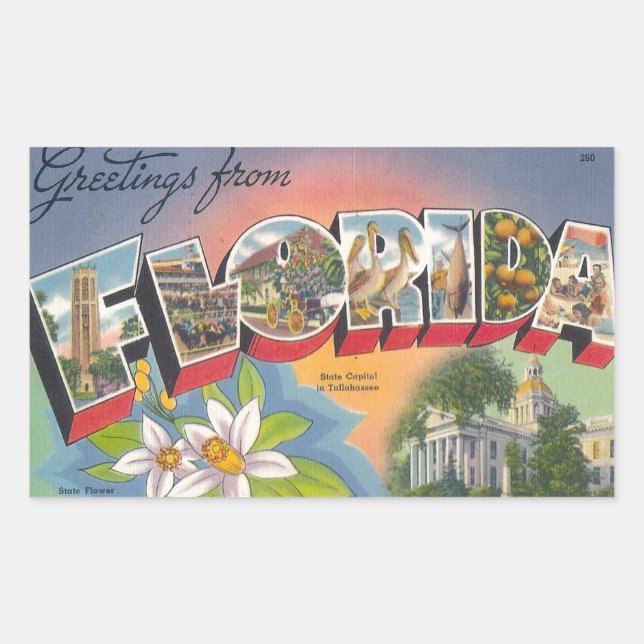 Greetings from FLORIDA Rectangular Sticker (Front)