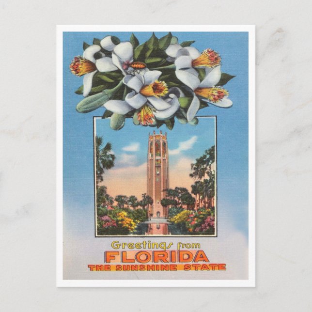 Greetings from Florida, the Sunshine State Travel Postcard (Front)