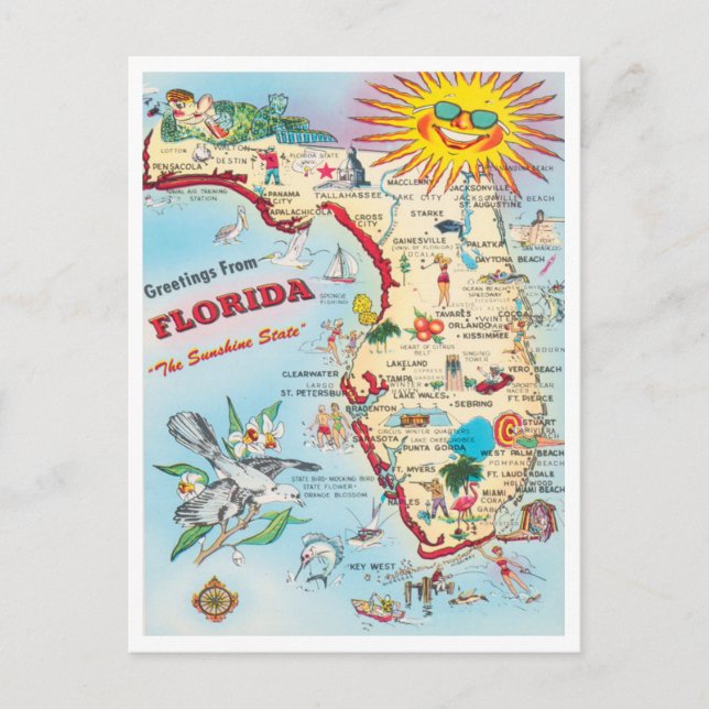 Greetings from Florida, the Sunshine State Travel Postcard (Front)