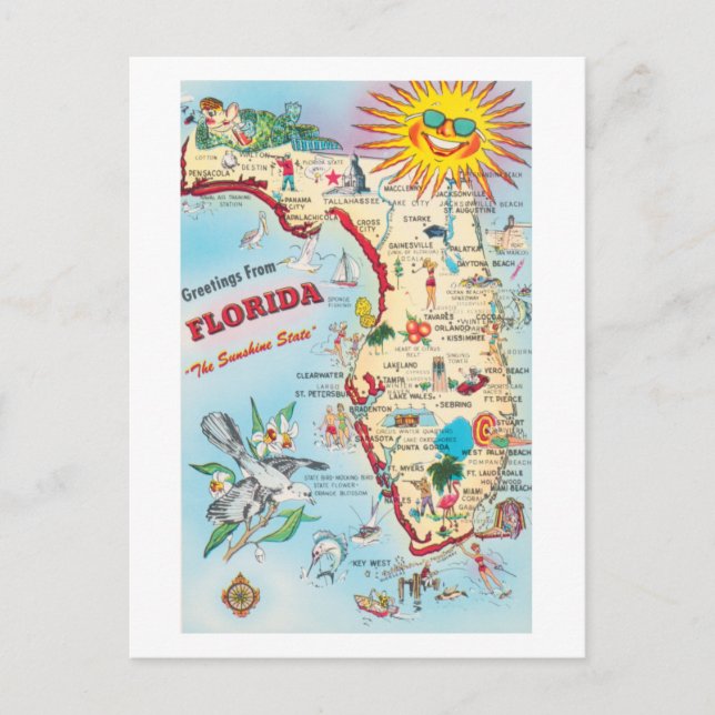 Greetings From Florida Vintage Postcards (Front)
