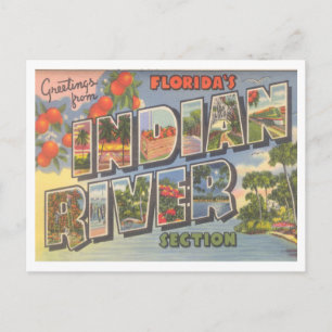 Greetings from Florida's Indian River Vintage Postcard