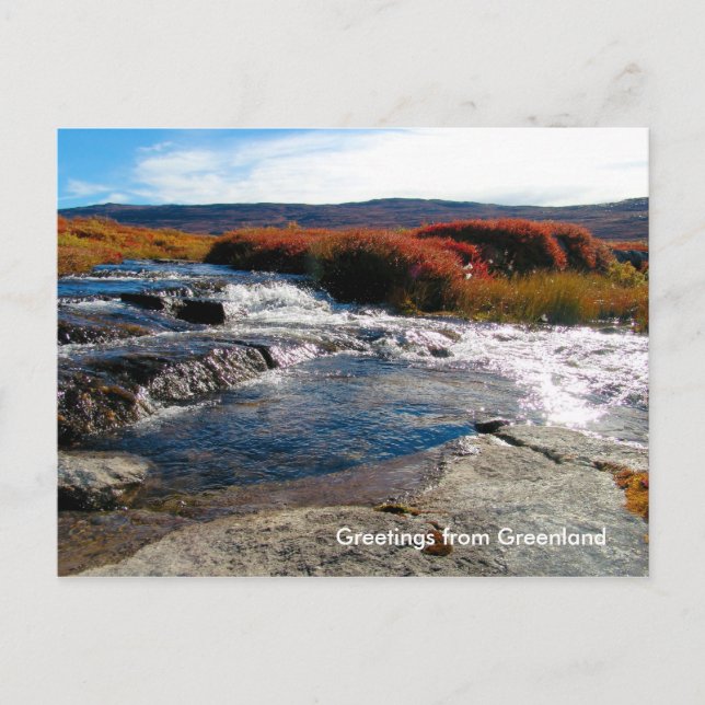 Greetings from Greenland 17 Postcard (Front)