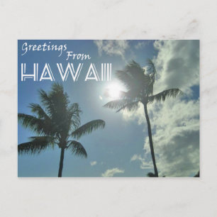 Greetings From Hawaii - Palm Trees Postcard