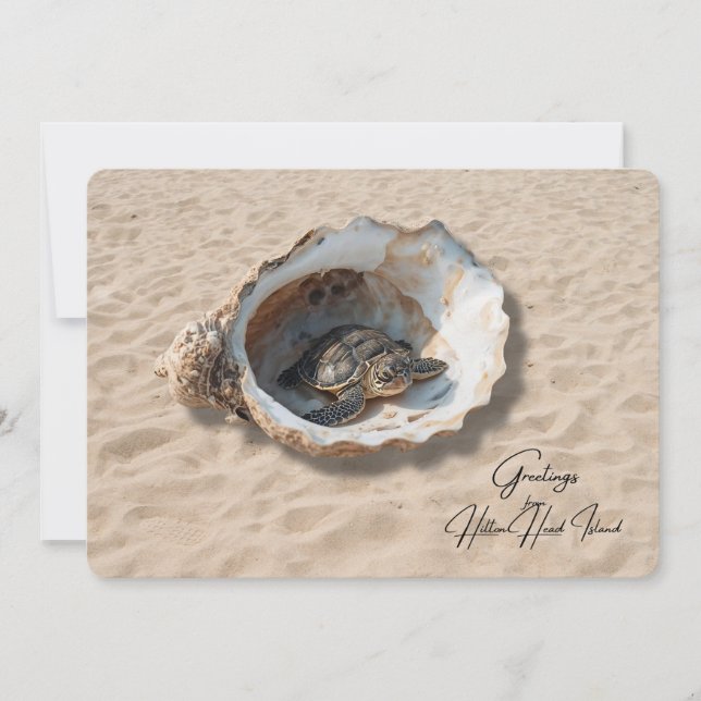 Greetings from Hilton Head Island Sea Turtle Card (Front)