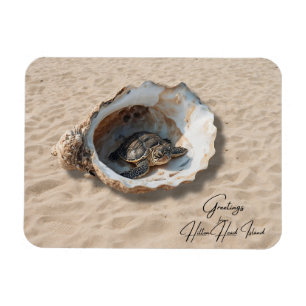 Greetings from Hilton Head Island Sea Turtle Magnet