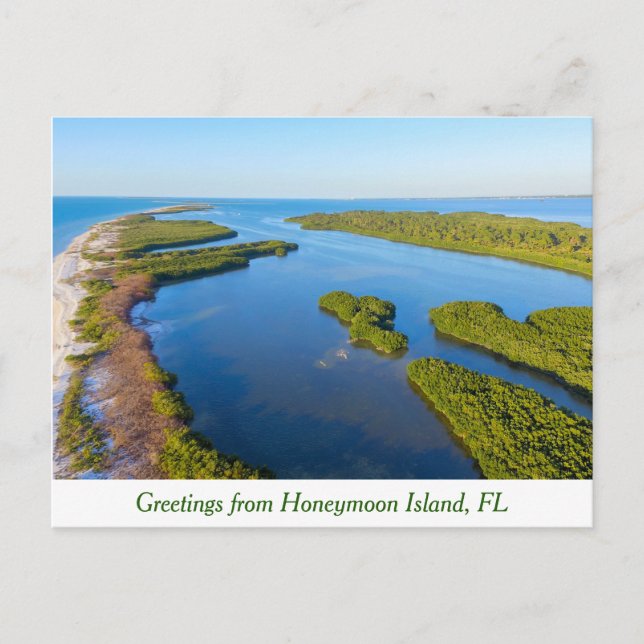 Greetings from Honeymoon island, Florida postcard (Front)