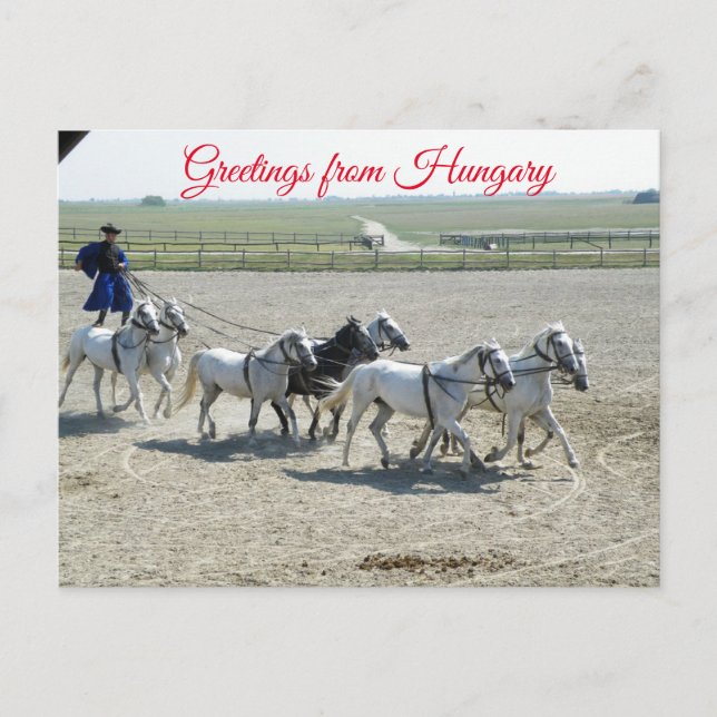 Greetings from Hungary Postcard (Front)