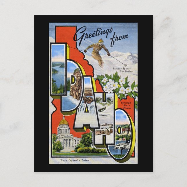 Greetings from Idaho Postcard (Front)
