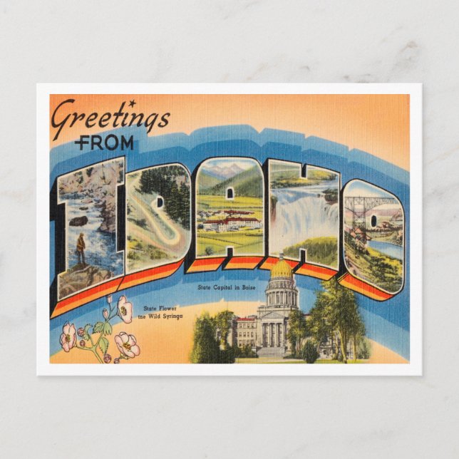 Greetings from Idaho Vintage Travel Postcard (Front)