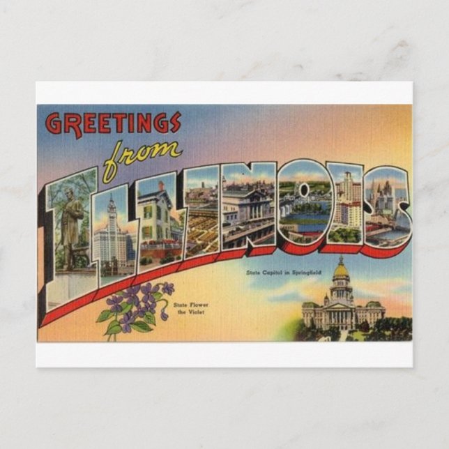 Greetings From Illinois Postcard (Front)