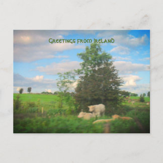 Greetings from Ireland Photograph Postcard