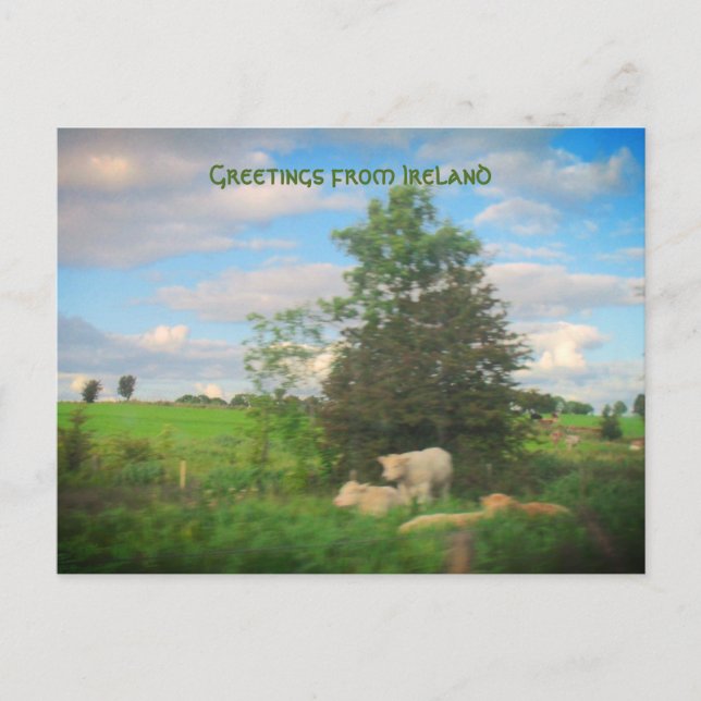 Greetings from Ireland Photograph Postcard (Front)