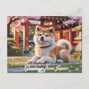 "Greetings from Japan" Akita Inu Postcard
