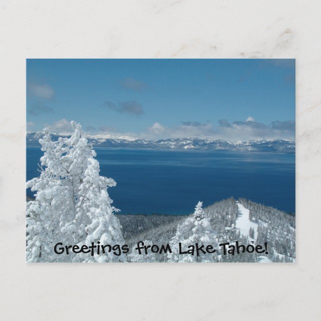 Greetings from Lake Tahoe! Postcard (Front)