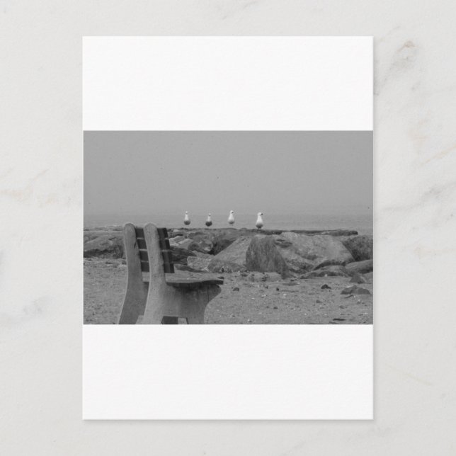 Greetings from Long Island, NY Postcard (Front)