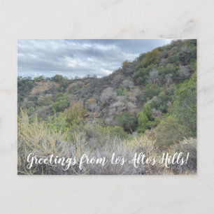 Greetings from Los Altos Hills! Postcard