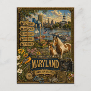 Greetings From Maryland   Vintage Retro Art Postcard