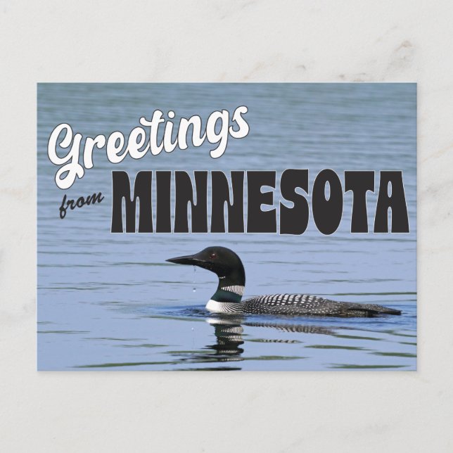 Greetings from Minnesota with Common Loon Postcard (Front)