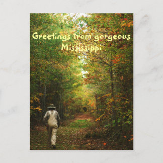 Greetings from Mississippi Postcard