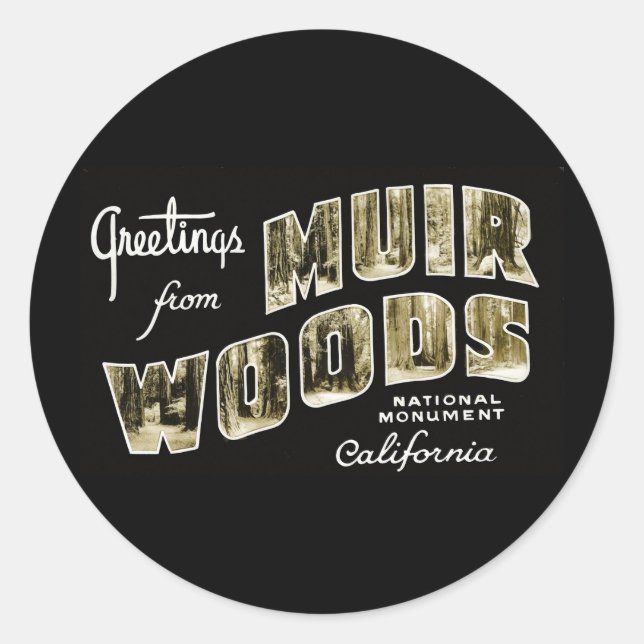 Greetings from Muir Woods National Monument Classic Round Sticker (Front)