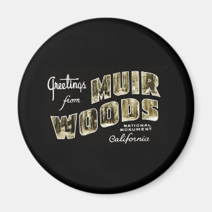 Greetings from Muir Woods National Monument Magnet