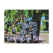 Greetings from Napa Valley California