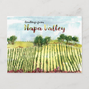 Greetings From Napa Valley Vineyard Hills Postcard
