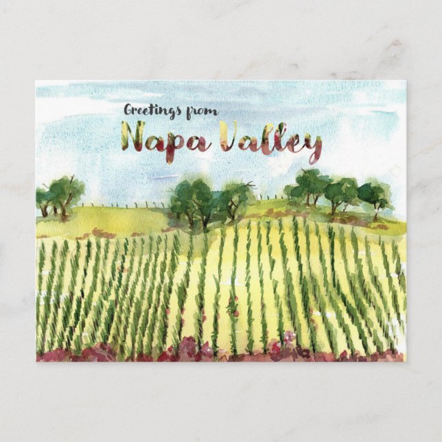 Greetings From Napa Valley Vineyard Hills Postcard (Front)