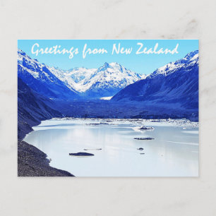 Greetings from New Zealand Postcard