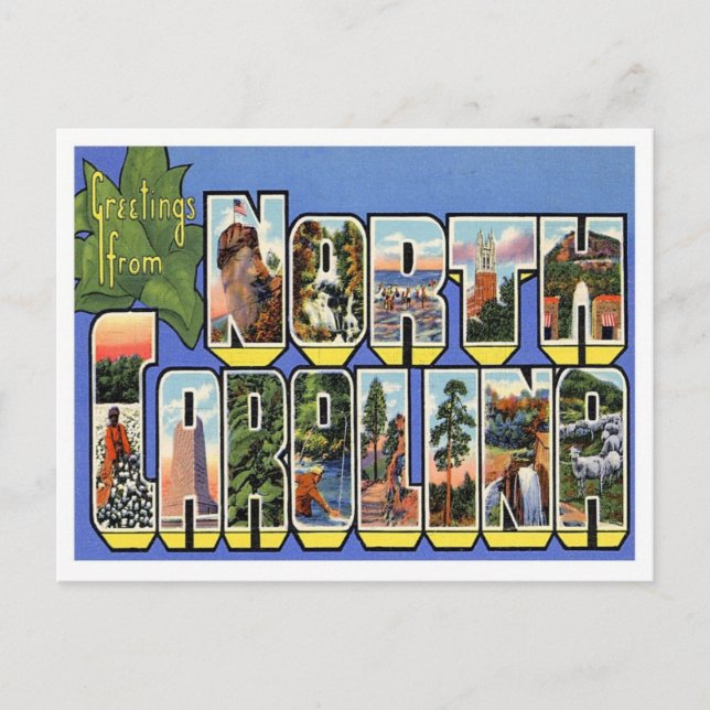 Greetings From North Carolina Postcard (Front)