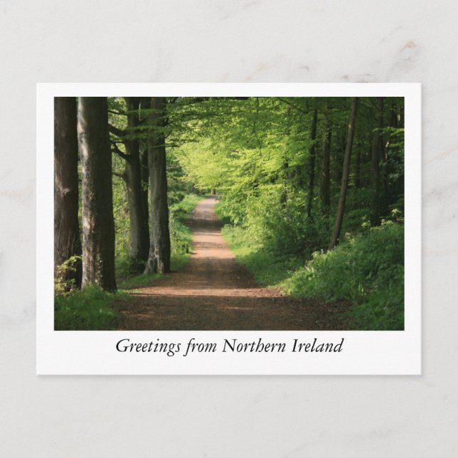 Greetings from Northern Ireland Postcard (Front)
