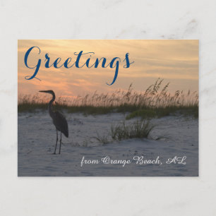 Greetings from Orange Beach, AL Postcard