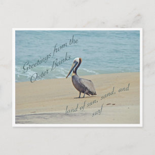 Greetings From Outer Banks OBX NC Postcard