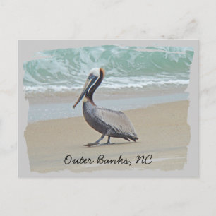 Greetings From Outer Banks OBX NC Postcard