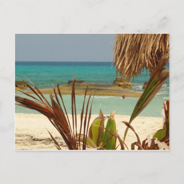 Greetings from Paradise! Postcard (Front)