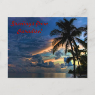 Greetings from Paradise Postcard