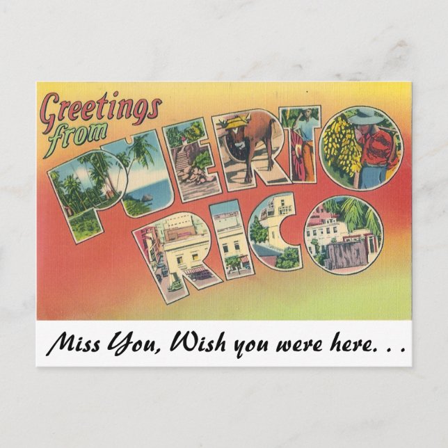 Greetings from Puerto Rico Postcard (Front)
