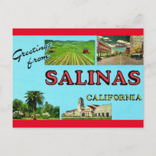 Greetings from Salinas California Travel Postcard